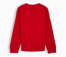 Load image into Gallery viewer, Egerton Primary School Cardigan - Red
