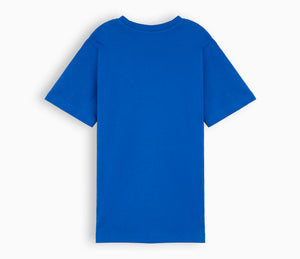 St Raphaels R C School T-Shirt - Royal Blue