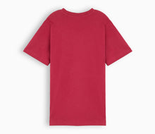 Load image into Gallery viewer, Cronk y Berry Primary School T-Shirt - Red
